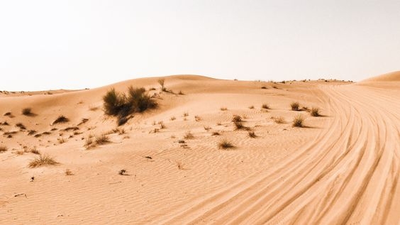 Hình nền may mắn hình 100