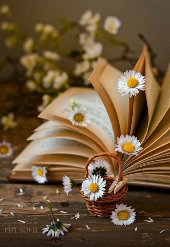 Hình nền may mắn hình 11