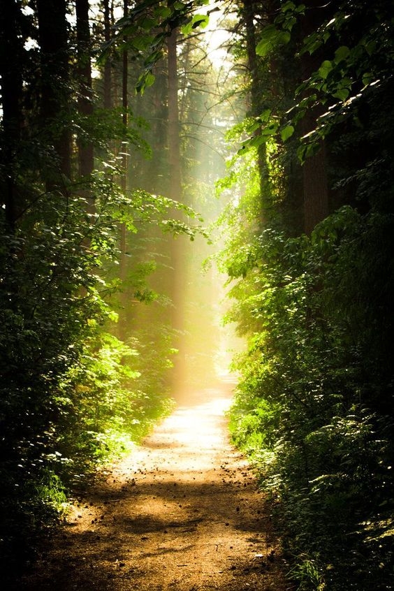 Hình nền may mắn hình 29