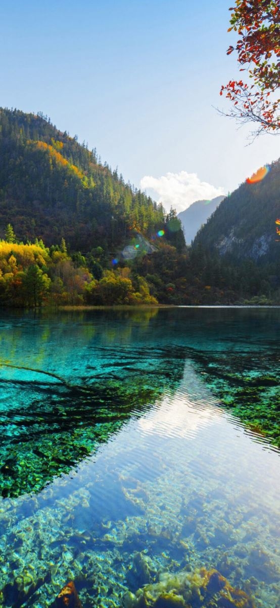 Hình nền may mắn hình 45