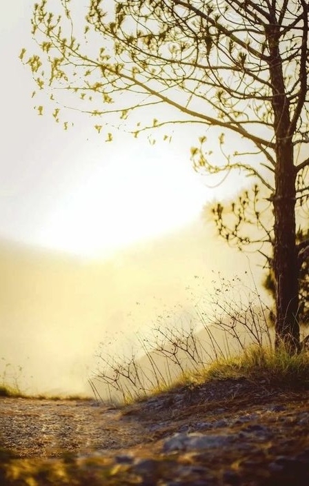 Hình nền may mắn hình 51