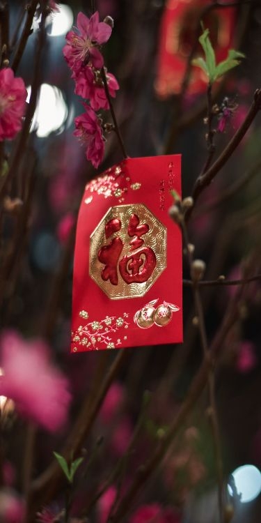 Hình nền may mắn hình 6