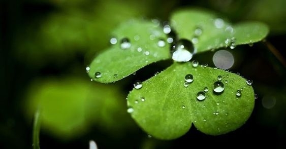 Hình nền may mắn hình 63