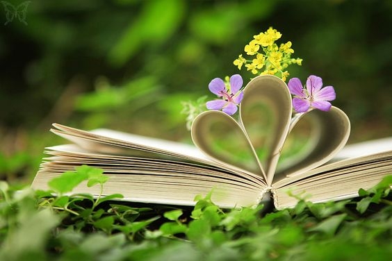 Hình nền may mắn hình 65