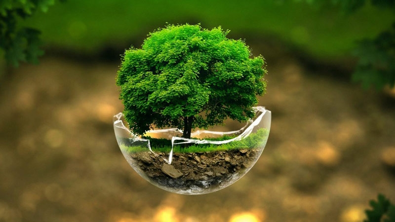 Hình nền may mắn hình 75