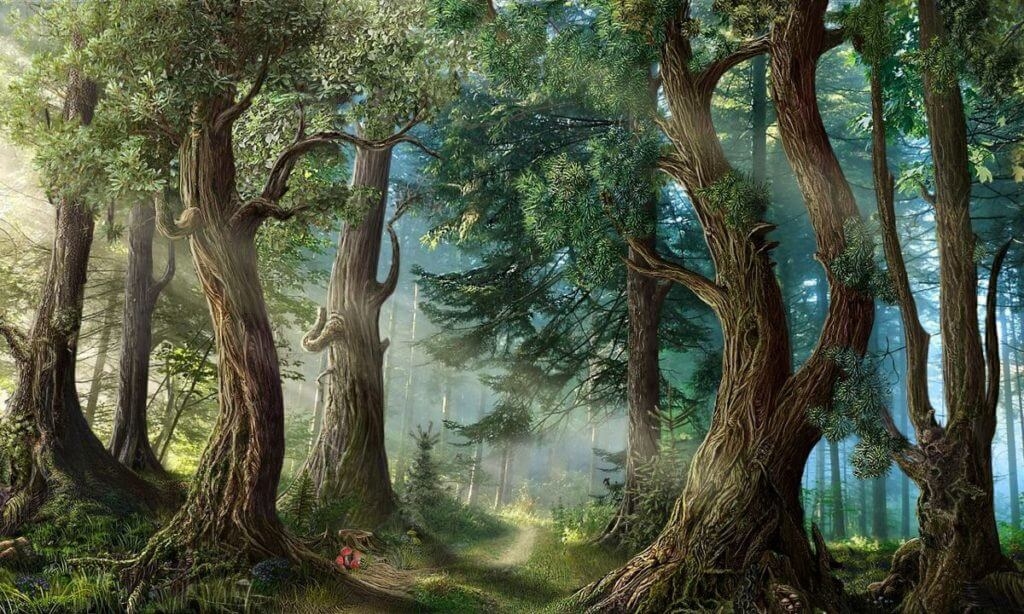 Hình nền may mắn hình 81