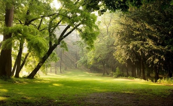 Hình nền may mắn hình 82