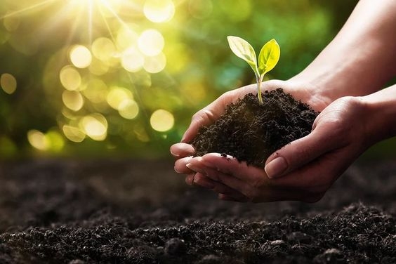 Hình nền may mắn hình 97