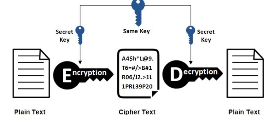 Những thành phần quan trọng được xác định