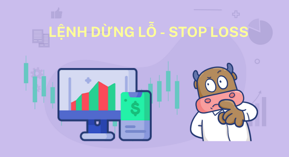 Cách đặt lệnh đầu tư thật phù hợp