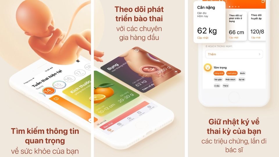 Bà Bầu
