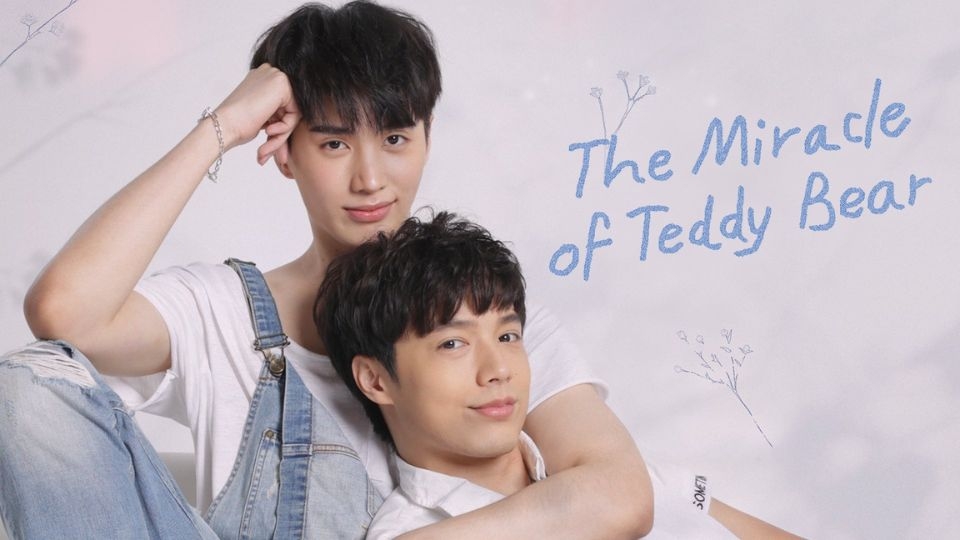 The Miracle Of Teddy Bear