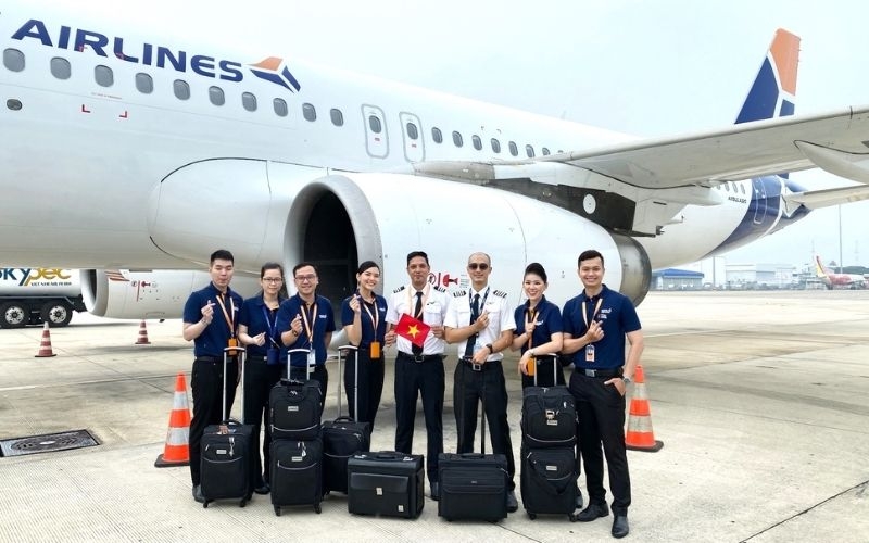 Nên học ngành gì hình 6