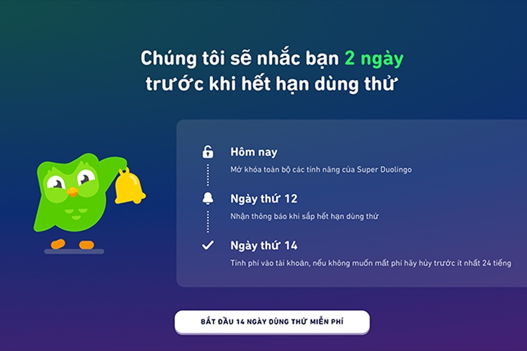 ​Cách đăng ký và nâng cấp tài khoản lên Duolingo Plus trên Smartphone và PC - Hình 10