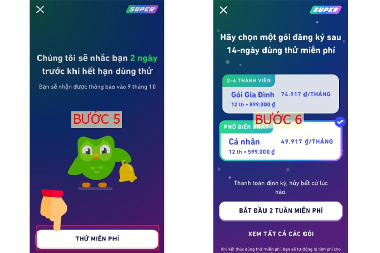 ​Cách đăng ký và nâng cấp tài khoản lên Duolingo Plus trên Smartphone và PC - Hình 4