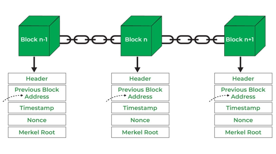 Cấu trúc dữ liệu Blockchain Developer