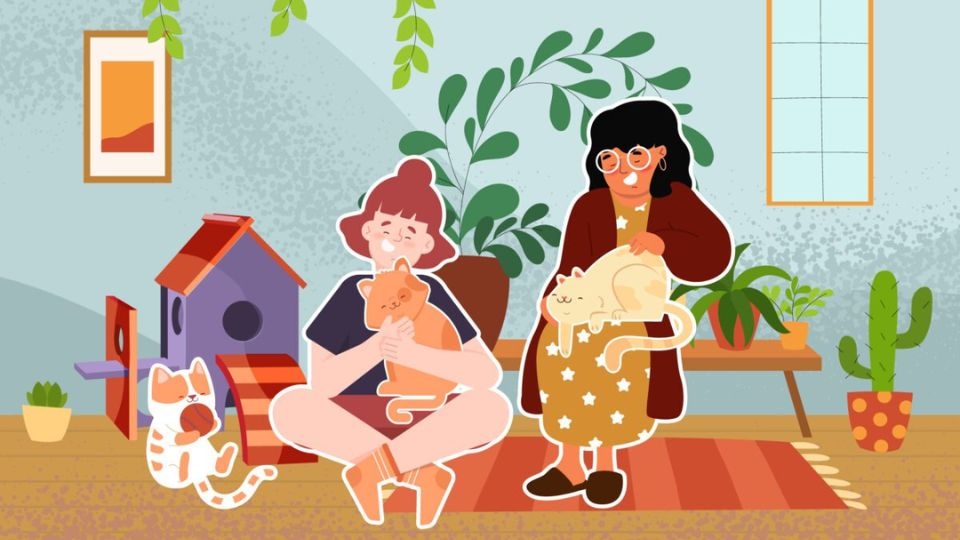 Sự khác nhau giữa Manifest với mong ước đơn thuần