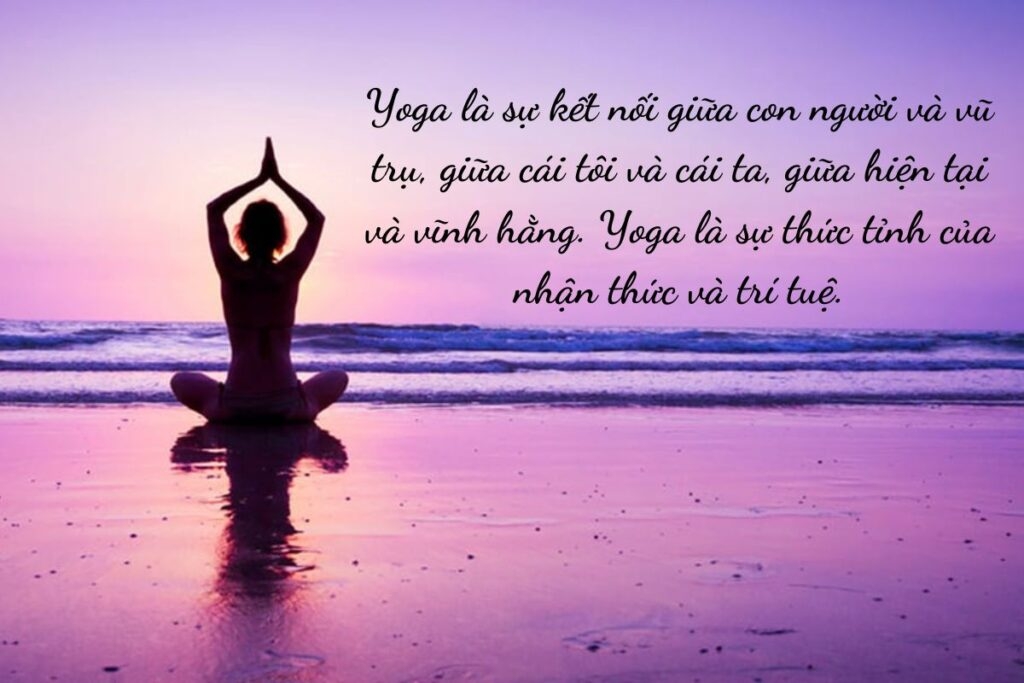 câu nói hay về Yoga - hình 3