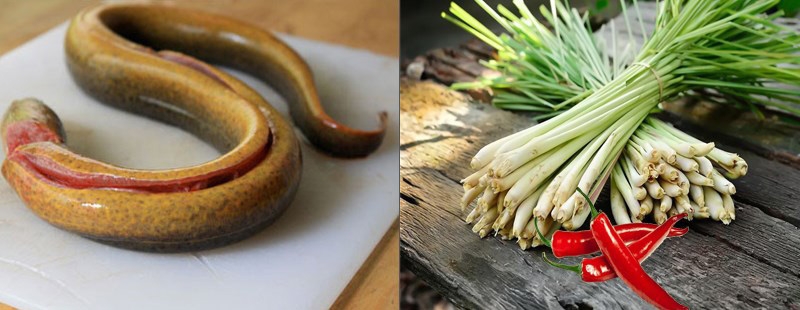 Lươn xào sả ớt - ảnh 1