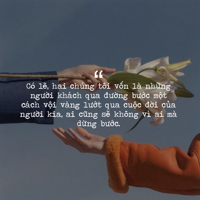 Cap hay đăng ảnh đại diện - hình 4