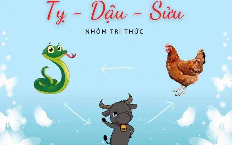 Tam hợp tứ hành xung - hình 4