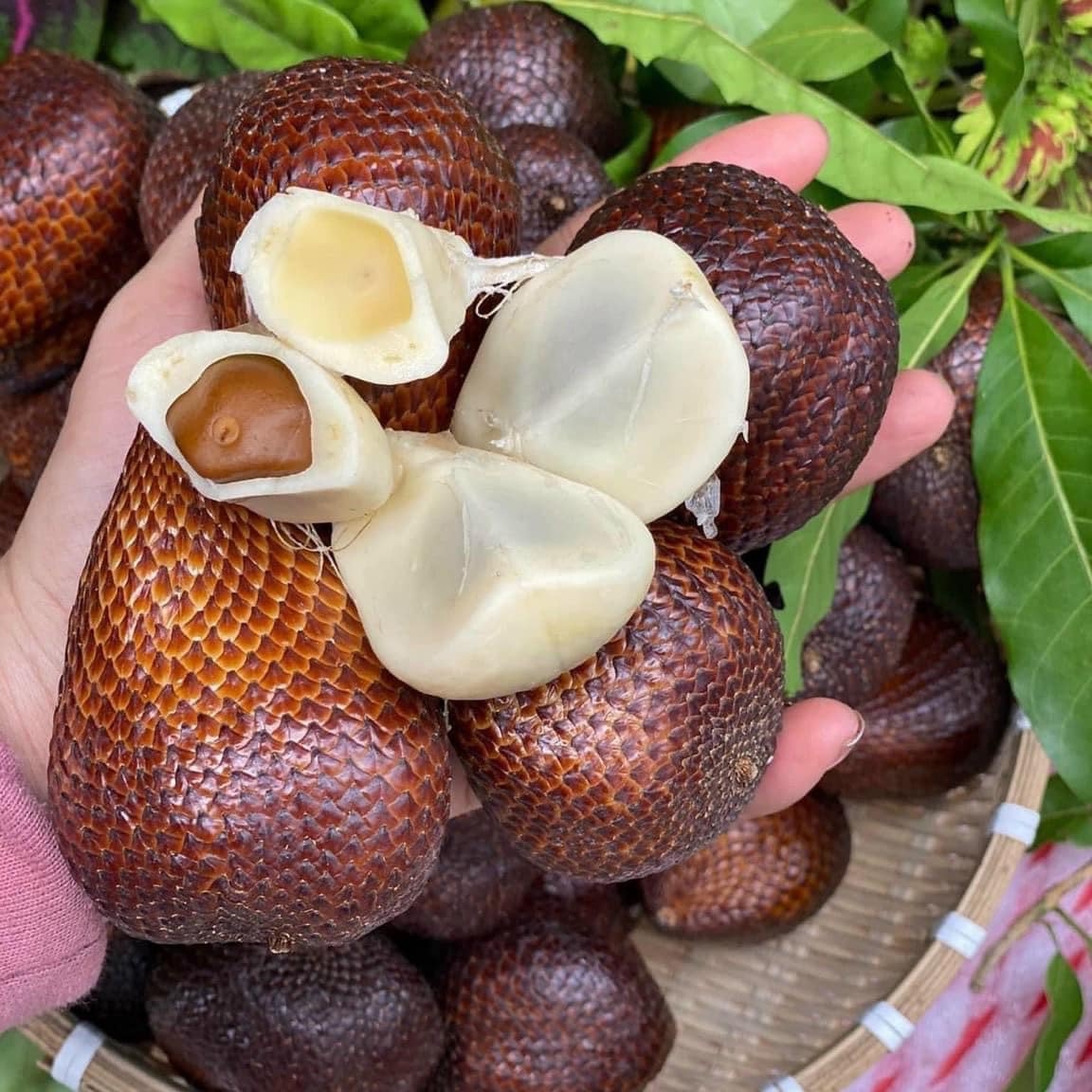 trái mấy - hình 3