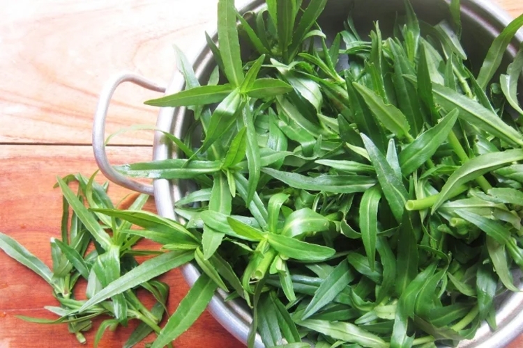 Rau ngổ là gì? Mách bạn một số món ăn dinh dưỡng dễ chế biến từ rau ngổ - Hình 1