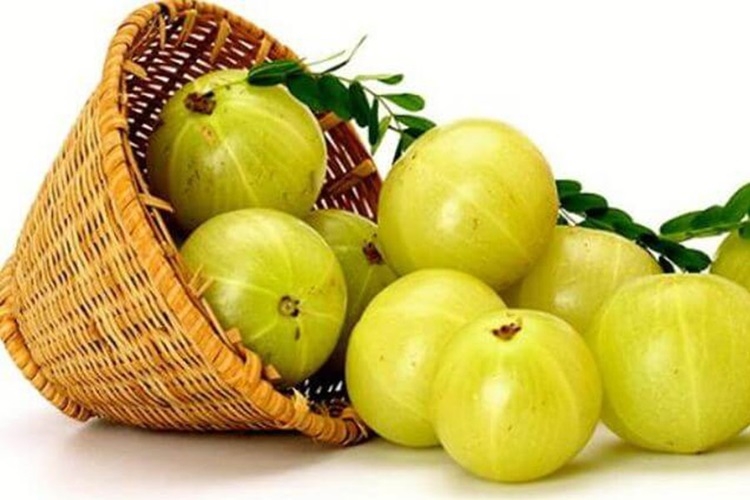 Me rừng là quả gì, có lợi ích gì cho sức khỏe? Giá trị dinh dưỡng của quả me rừng 5