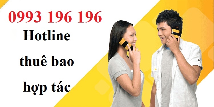 0993196196 là số hotline thuê bao hợp tác