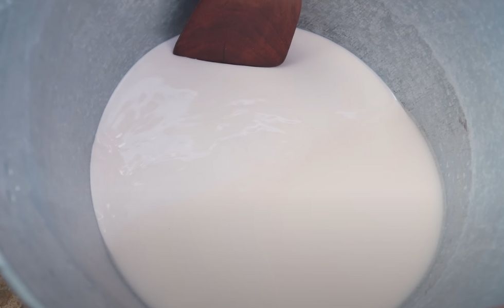 Cách làm bột củ sen