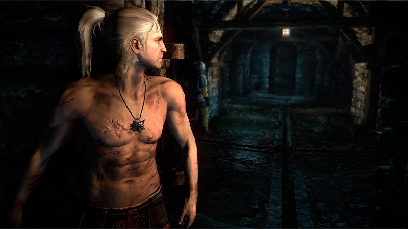 The Witcher 2 - hình 12