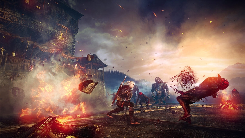 The Witcher 2 - hình 5