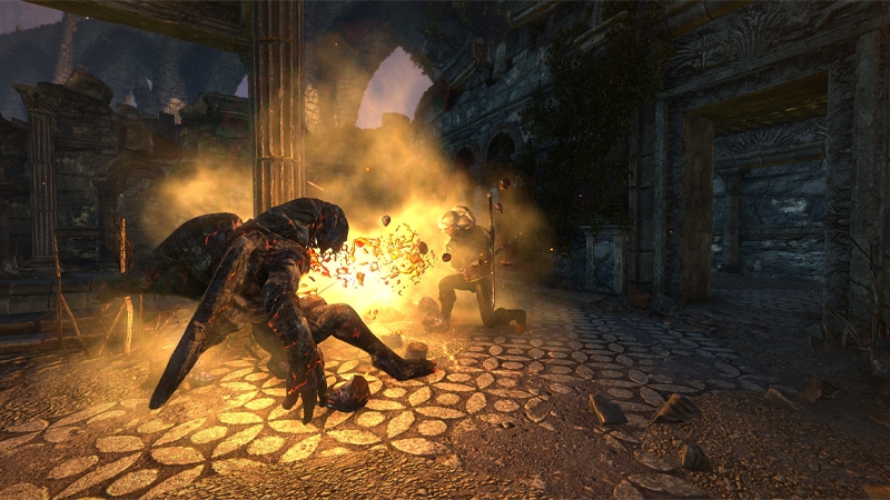 The Witcher 2 - hình 9