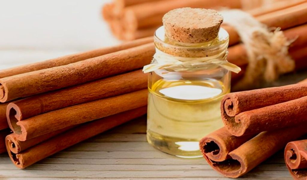 Tinh dầu quế có tác dụng gì? Cách làm và cách sử dụng hiệu quả như thế nào? 3