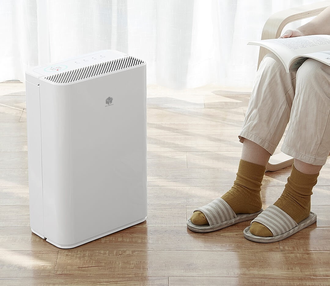 Ẩm mốc là gì? Hướng dẫn những cách chống ẩm mốc trong nhà hiệu quả vào mùa mưa 2