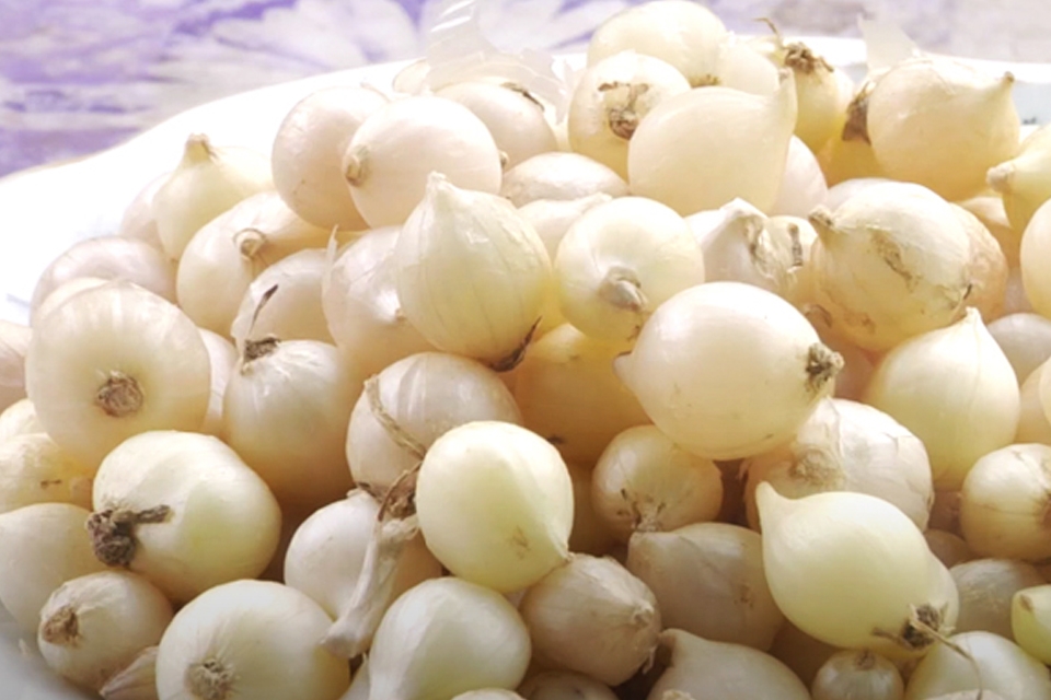 Củ nén có tên khoa học là Allium schoenoprasum.