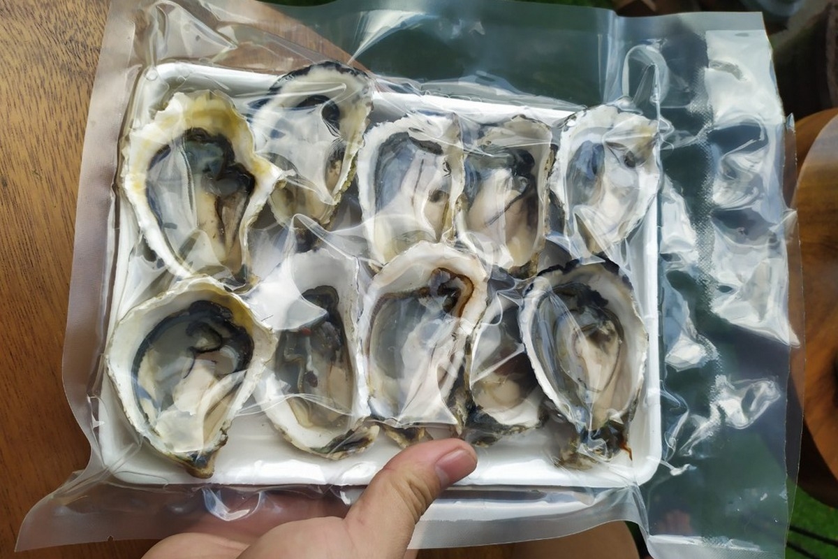 cách bảo quản hàu - hình 3