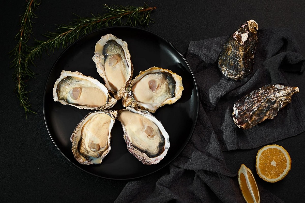 cách bảo quản hàu - hình 5