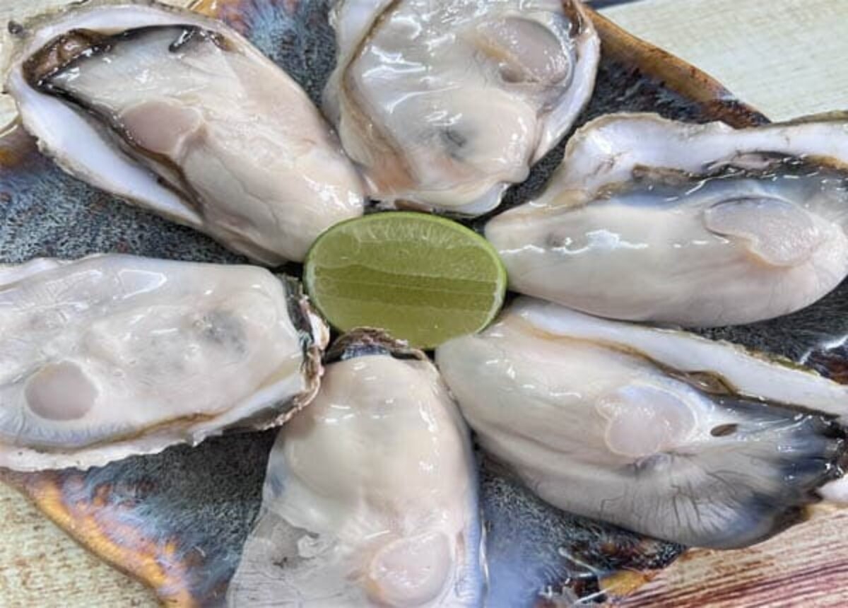 cách bảo quản hàu - hình 2