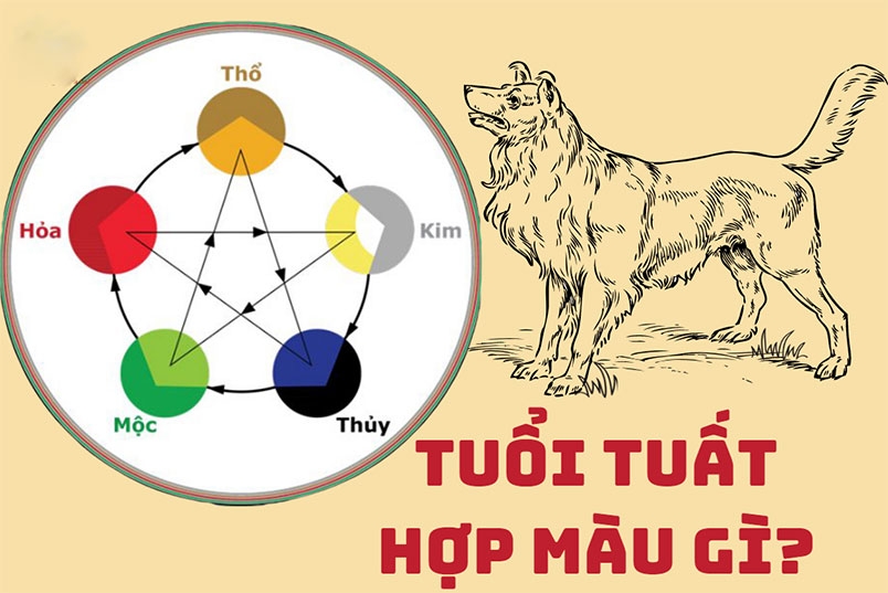 Năm 2024 tuổi Tuất hợp màu gì hình 1