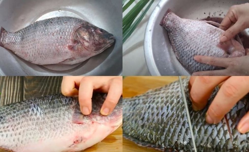 Sơ chế cá