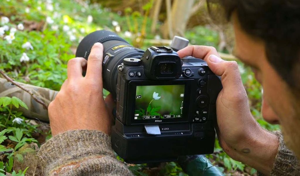 Các loại lens máy ảnh phổ biến và kinh nghiệm chọn mua phù hợp với nhu cầu sử dụng 3