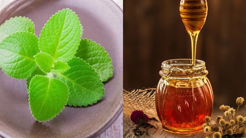 Cách làm siro húng chanh 1