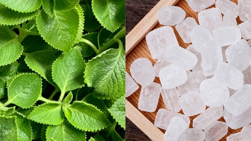 Cách làm siro húng chanh 3