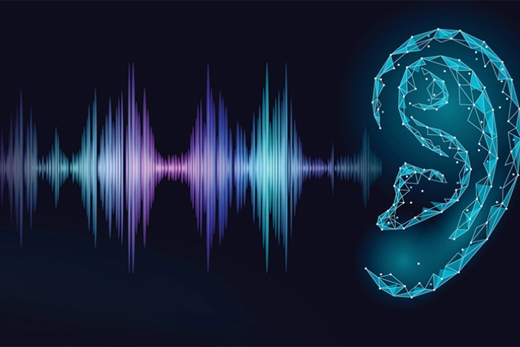 Phân loại âm Mid trên thị trường 1