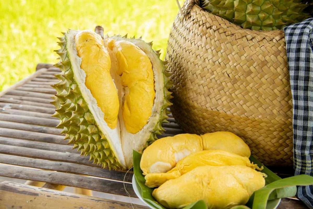 cách bảo quản sầu riêng - hình 3