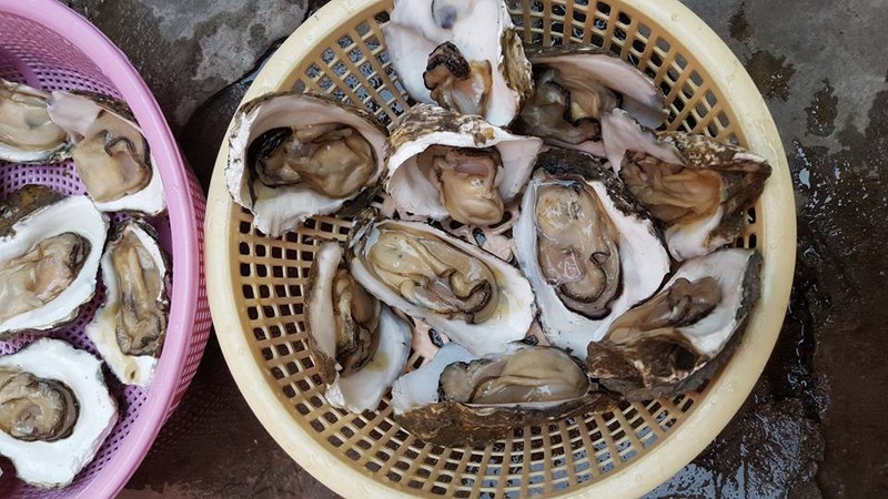 canh hàu nấu chua 9