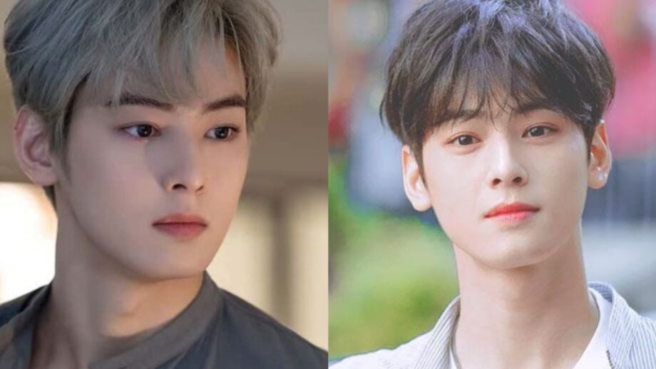 Akgae là gì hình 9