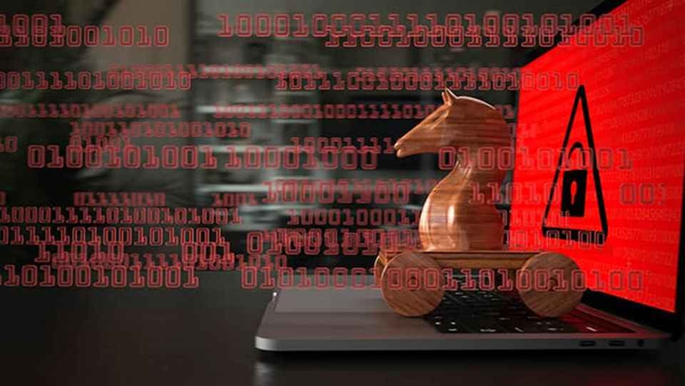 Quá trình thâm nhập diễn ra nhanh chóng