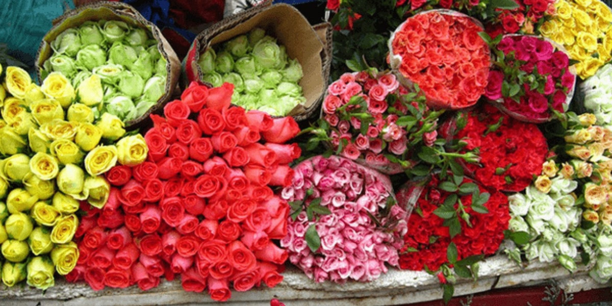 cách bảo quản hoa tươi - hình 6